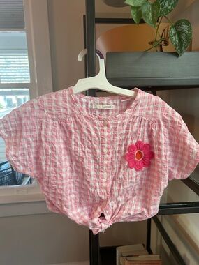 Zara Pink Gingham Button-Front Crop Top with Crochet Daisy